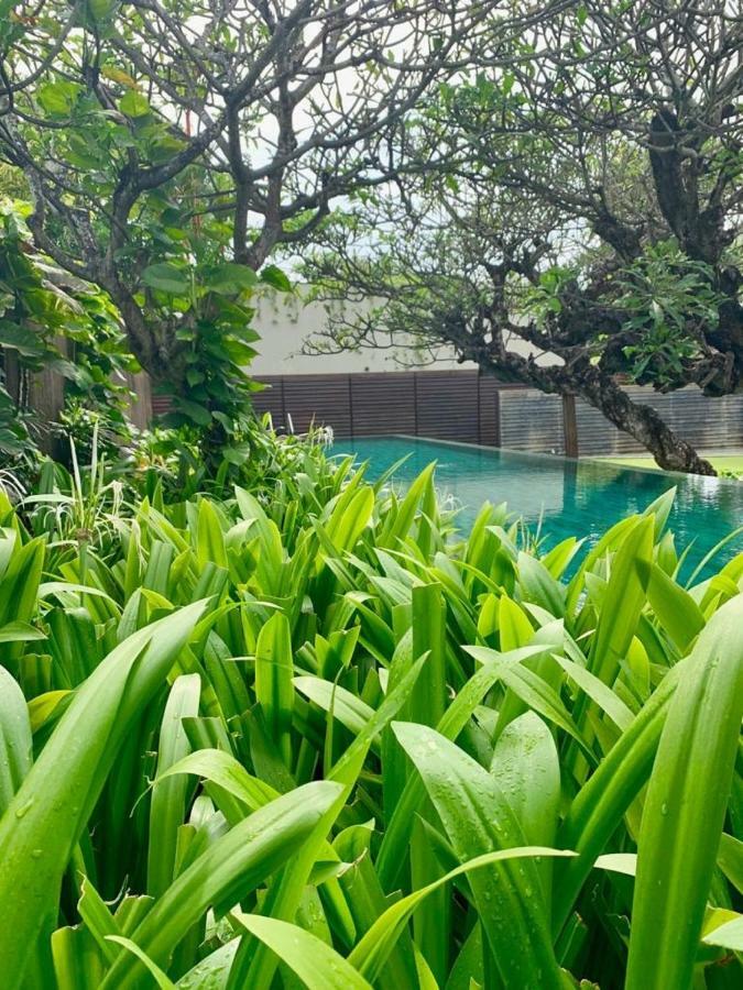 Ziva A Residence Seminyak Dış mekan fotoğraf