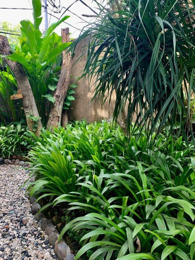 Ziva A Residence Seminyak Dış mekan fotoğraf